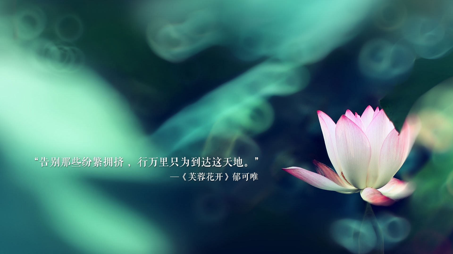 2025世俱杯赛程表比赛时间-葡萄牙体育年轻球员逐渐成为主力，葡萄牙年轻球星