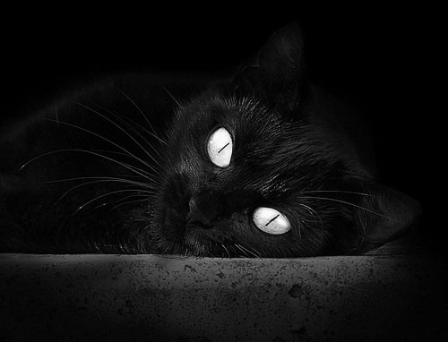 2025世俱杯对阵表-CBA球队实施分阶段体能评估保障比赛稳定输出，cba体测数据_通过率886%