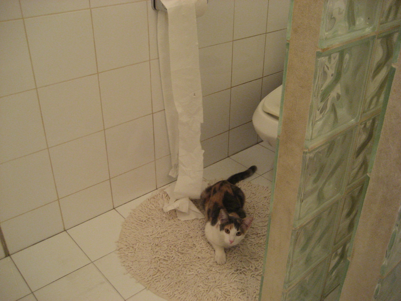 中国足球联赛打造智能化裁判学习平台，足球裁判管理系统