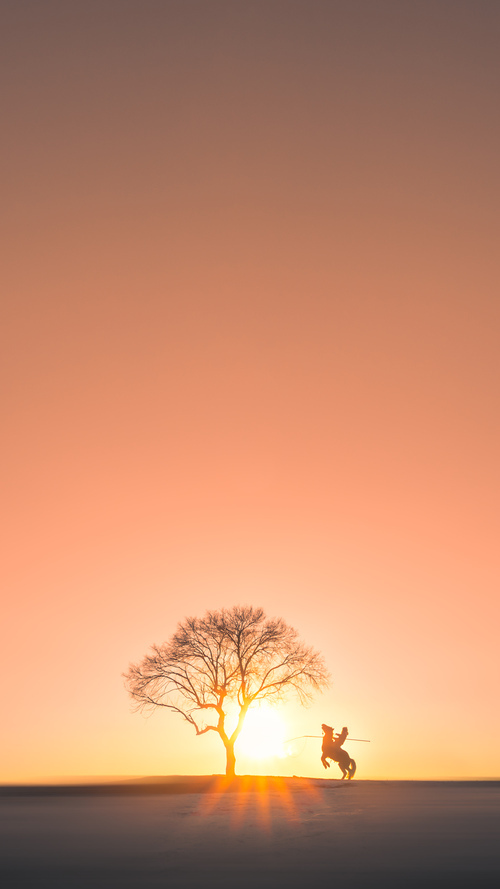 世俱杯-足球大数据分析纳入联赛标准配置推动科学训练，足球大数据ds