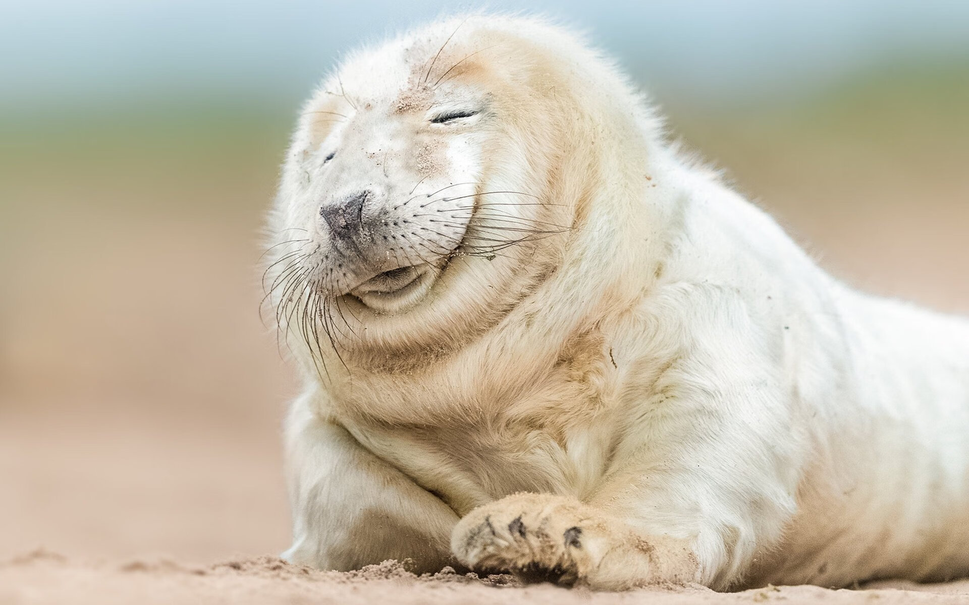 世俱杯入口-麦肯齐：全黑队的“快马”，突破防线的致命武器